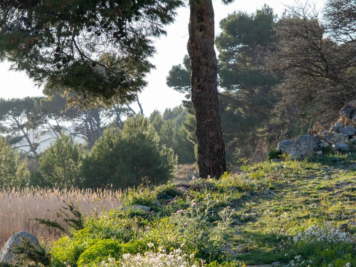 קרקסון Villa Des Cathares מראה חיצוני תמונה